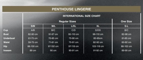 Penthouse - Libido Boost - Комплект сорочка в стиле 60-х и трусики с доступом, S/M (чёрная) - sex-shop.ua